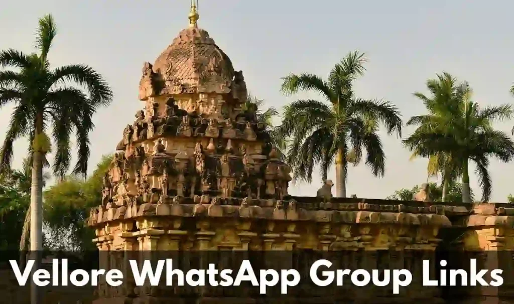 Vellore WhatsApp Group Link